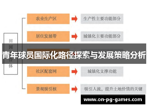 青年球员国际化路径探索与发展策略分析