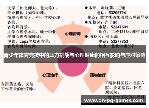 青少年体育竞技中的压力挑战与心理健康的相互影响与应对策略